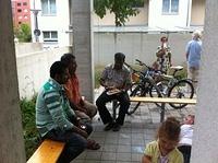 Bild 218