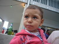 Bild 190