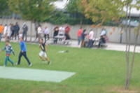 Bild 194